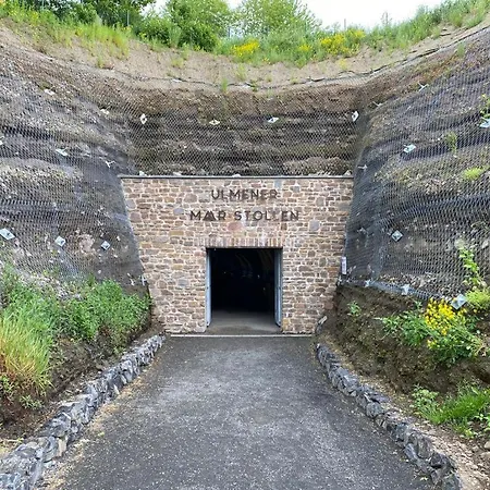 بيت للعطل Maarburg *
